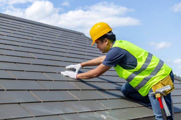 Best Roof Gutter Cleaning  in Spartanburg, SC