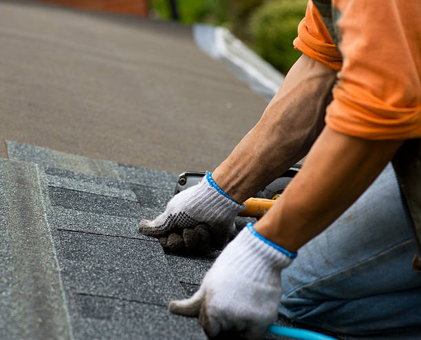 Quick and Trustworthy Emergency Roof Repair Services in Spartanburg, SC
